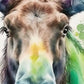 Frendorf | Majestätische Elch Aquarell Wandkunst