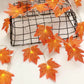 Ahornblätter Herbst Lichterketten