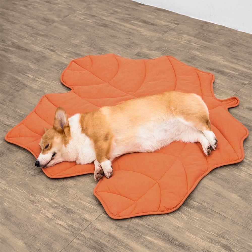 blattförmige hundedecke