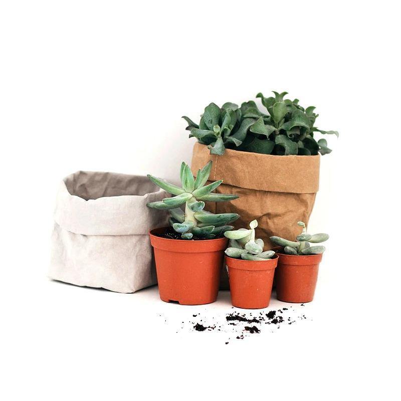 Frendorf | EcoBag Planter Tasche | Wasserdicht & Nachhaltig | Pflanzentasche aus Papier | Umweltfreundlich & Stilvoll