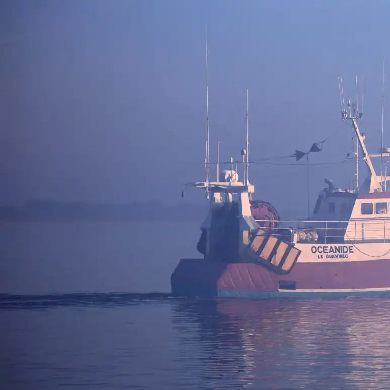 Frendorf | Misty Sunrise und Angelboot in Loctudy Wandkunst