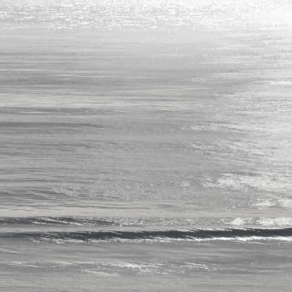 Frendorf | Moonlit Ocean Gray II Wandkunst