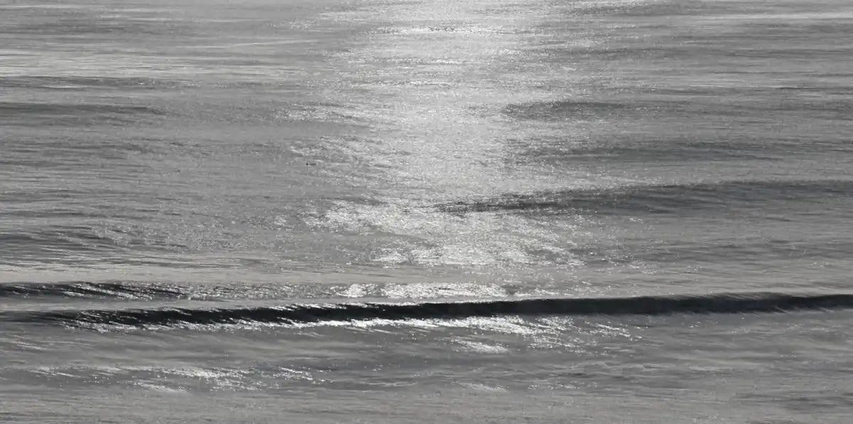 Frendorf | Moonlit Ocean Gray III Wandkunst