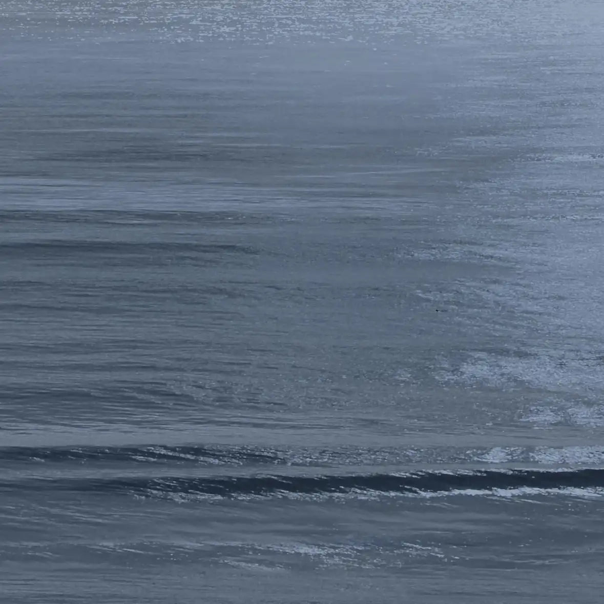 Frendorf | Moonlit Ocean II Wandkunst