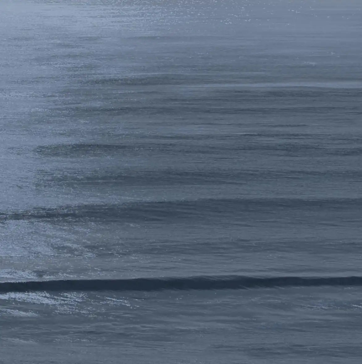 Frendorf | Moonlit Ocean II Wandkunst