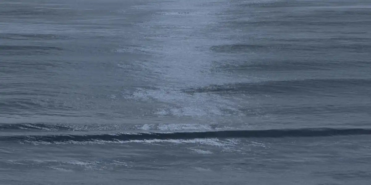 Frendorf | Moonlit Ocean III Wandkunst