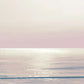 Frendorf | Mondlicht Ozean Pink Rouge I Wandkunst