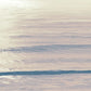 Frendorf | Moonlit Ocean Pink Blush II Wandkunst