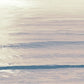 Frendorf | Moonlit Ocean Pink Blush II Wandkunst