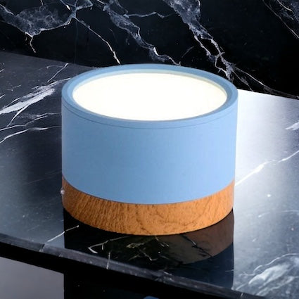 Frendorf | BeamLuxe – Energiesparende LED-Deckenleuchte im modernen Stil