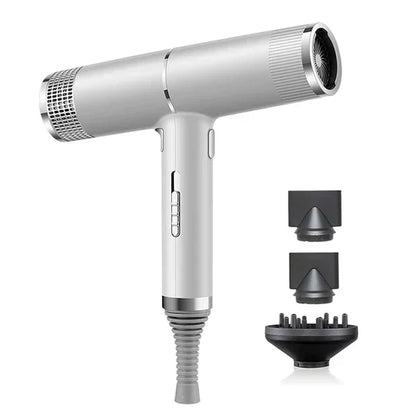 Frendorf |  Professioneller ionischer Haartrockner