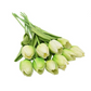 Frendorf | 10x Künstliche Tulpen Blumen