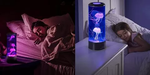 Frendorf | Qualle LED Lampe & Aquarium