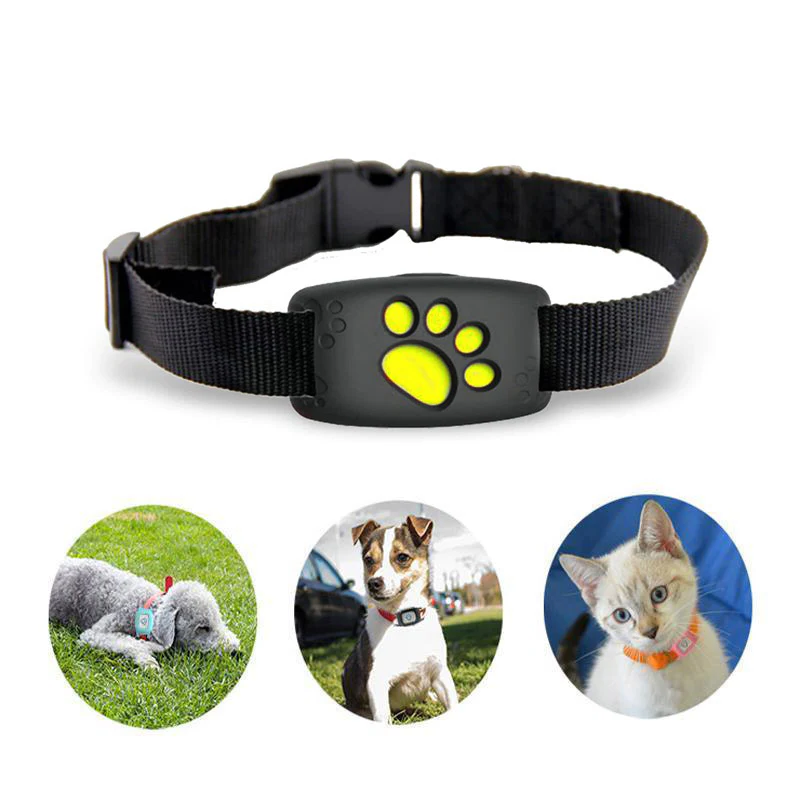 Frendorf | Smart GPS Katzenhalsband mit Echtzeit-Tracking