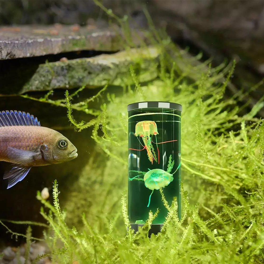Frendorf | Qualle LED Lampe & Aquarium