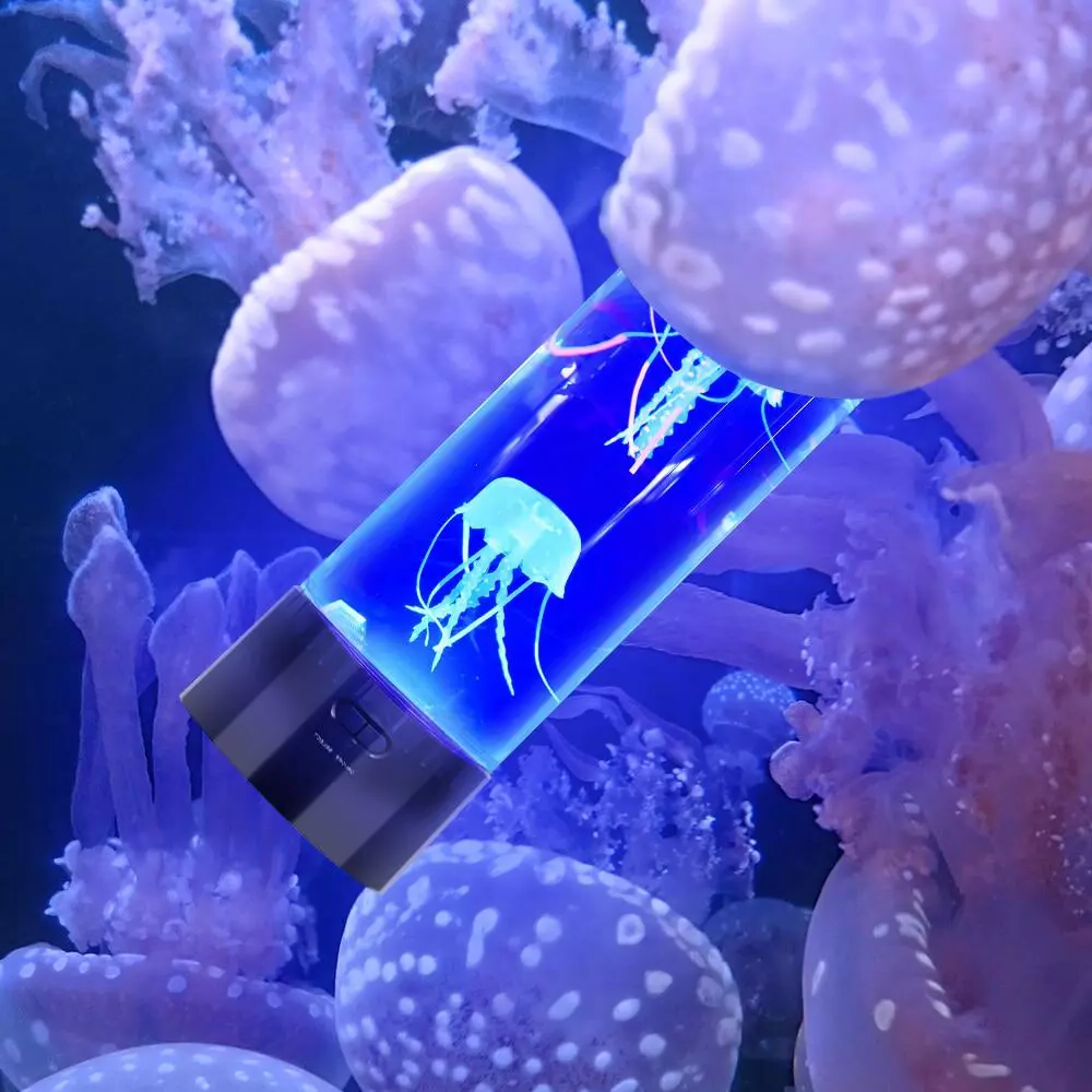 Frendorf | Qualle LED Lampe & Aquarium