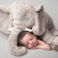 Frendorf | Baby Elefant Kuschelkissen