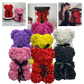 Frendorf | Rosen Teddybär