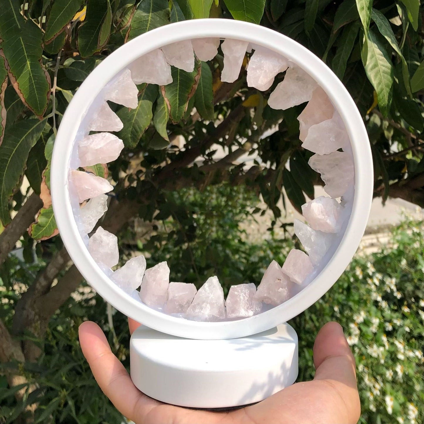 Frendorf | HerbGlo Kristall Nachtlicht | Natürliches LED Tischlicht | Heilkräuter & Stimmungsvolles Design