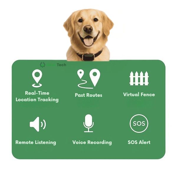 Frendorf | GPS Hundehalsband | Wasserdicht, Verstellbar & Unbegrenzte Reichweite für Echtzeitverfolgung