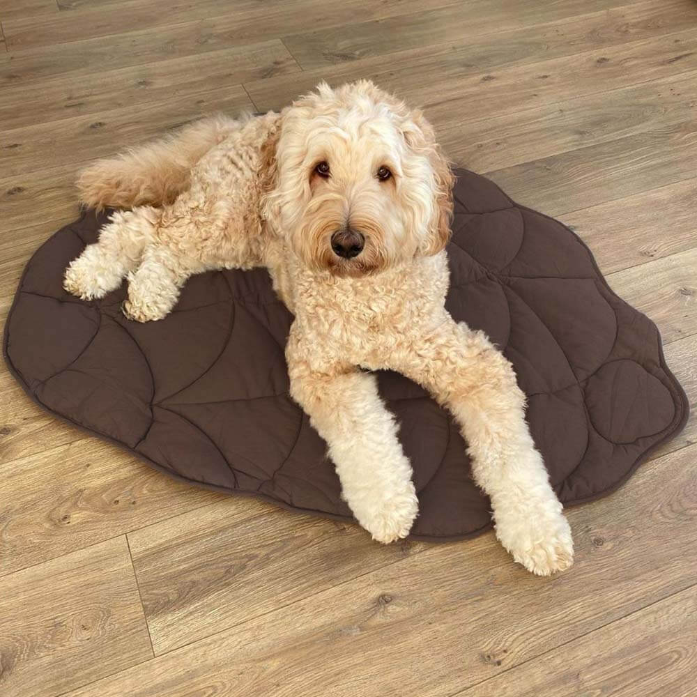 blattförmige hundedecke