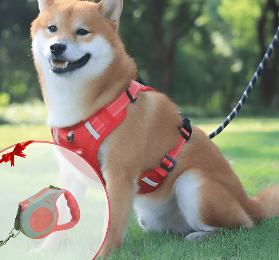 Frendorf |  DogGrip - Führen Sie Ihren Hund sicher spazieren