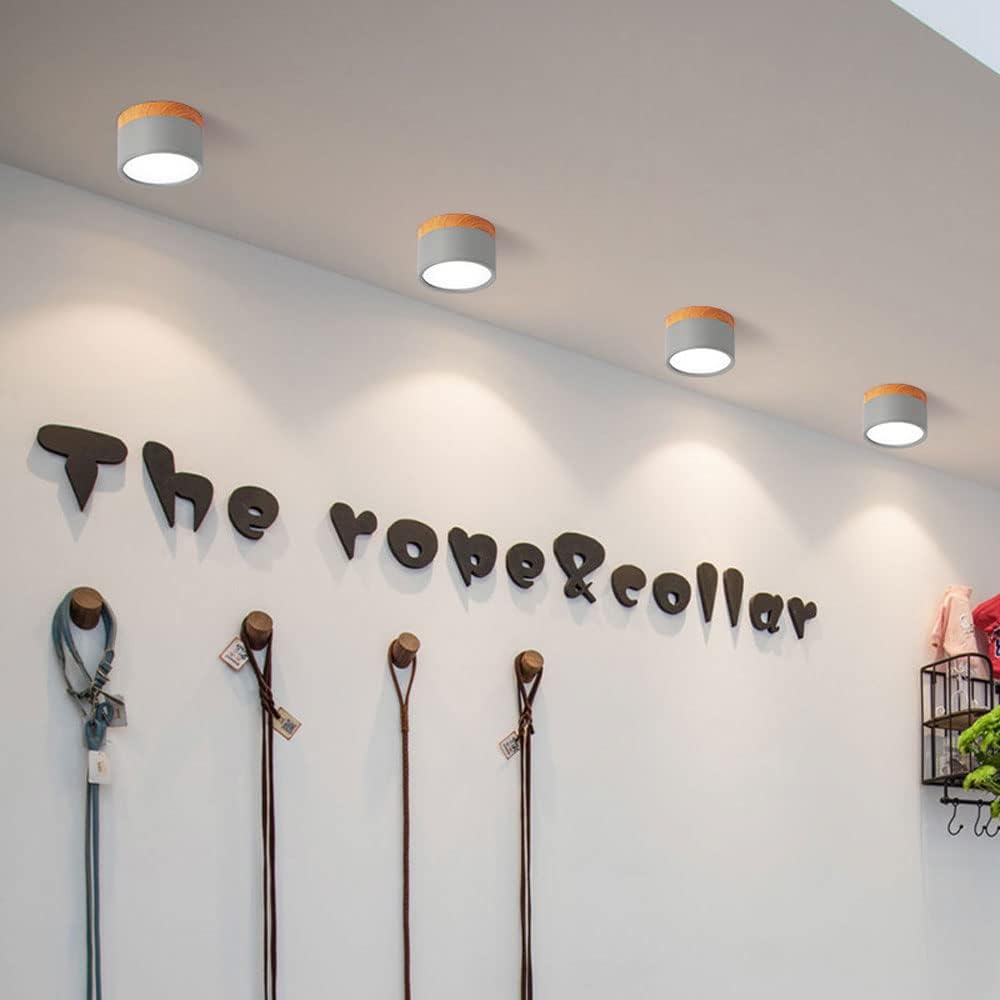 Frendorf | Eleganz des Lichts Kleine Deckenlampe mit einzigartigem Leuchten