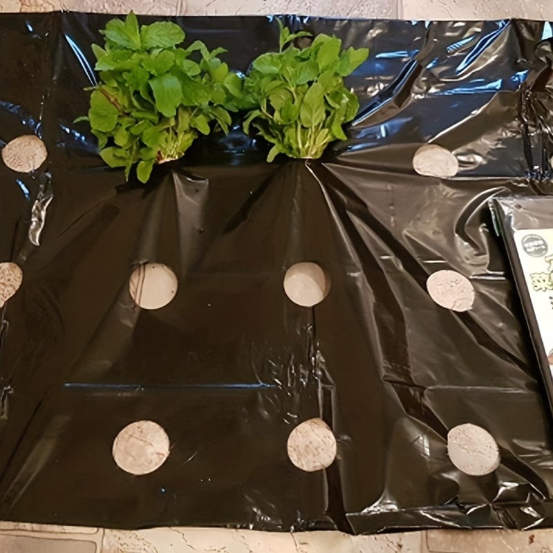 1 Pack, 10m Gewächshausfolie 5Löcher Gemüse Pflanzen Wachstums PE Schwarze Kunststofffolie Mulchfolie Anti Gras