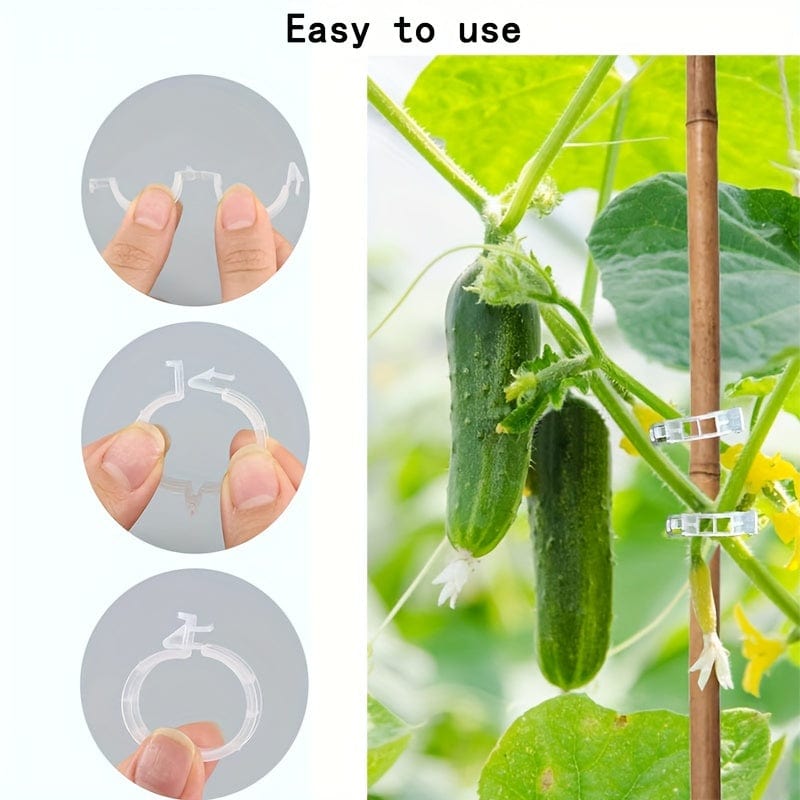 10/100Stk, Kunststoff Stand Pflanzenstand Clip Gartenclip, Tomaten Trauben Clip, Tomaten Stand Clip, Trauben Gemüse Tomaten wachsen aufrecht, um Pflanzen gesünder zu machen