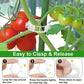 10/100Stk, Kunststoff Stand Pflanzenstand Clip Gartenclip, Tomaten Trauben Clip, Tomaten Stand Clip, Trauben Gemüse Tomaten wachsen aufrecht, um Pflanzen gesünder zu machen