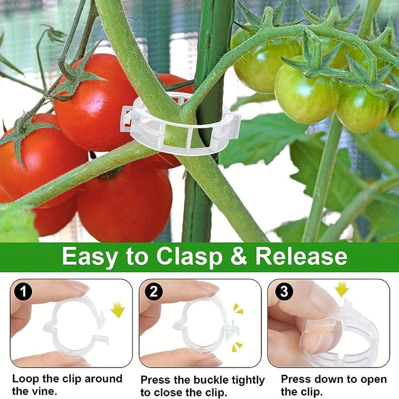 10/100Stk, Kunststoff Stand Pflanzenstand Clip Gartenclip, Tomaten Trauben Clip, Tomaten Stand Clip, Trauben Gemüse Tomaten wachsen aufrecht, um Pflanzen gesünder zu machen