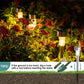 10 Packs Solar Außenlichter, Solar Gartenlichter, Wasserdichte Außenlichter, Solar Landschaftsbeleuchtung, Für Gehweg, Terrasse, Garten, Rasen, Gehweg, Weihnachten, Halloween, Partys