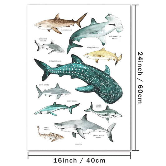 1pc Verschiedene Haie Canvas Wandkunst, Haie Drucke Auf Leinwand, Haiarten Wandkunst Poster, Wanddekoration Für Kinderzimmer Badezimmer Schlafzimmer Büro Wohnraum Wanddekoration