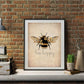 1Stück, Leinwand Poster, Bee Happy Druck - Bee Kind, Bee Yourself, Natur Druck, Bee Lover Wandkunst, Für Wohnzimmer Schlafzimmer, Wanddeko, Wohnaccessoire, Inspirierendes Zitat, Unrahmt