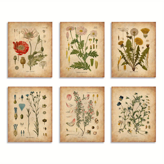 6 Stück Botanische Wandkunst Poster, Vintage Botanische Drucke, Vintage Poster, Drucke Wildblumen Drucke Florale Wandkunst, Für Wohnkultur / Wohnzimmer / Schlafzimmer / Büro / Hotel / Bar Dekoration, Ohne Rahmen