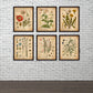 6 Stück Botanische Wandkunst Poster, Vintage Botanische Drucke, Vintage Poster, Drucke Wildblumen Drucke Florale Wandkunst, Für Wohnkultur / Wohnzimmer / Schlafzimmer / Büro / Hotel / Bar Dekoration, Ohne Rahmen