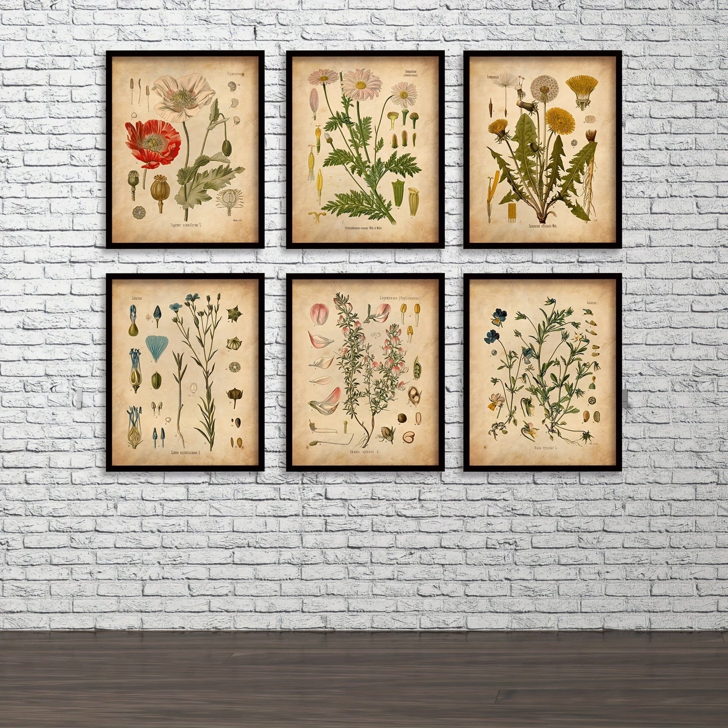 6 Stück Botanische Wandkunst Poster, Vintage Botanische Drucke, Vintage Poster, Drucke Wildblumen Drucke Florale Wandkunst, Für Wohnkultur / Wohnzimmer / Schlafzimmer / Büro / Hotel / Bar Dekoration, Ohne Rahmen