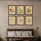 6 Stück Botanische Wandkunst Poster, Vintage Botanische Drucke, Vintage Poster, Drucke Wildblumen Drucke Florale Wandkunst, Für Wohnkultur / Wohnzimmer / Schlafzimmer / Büro / Hotel / Bar Dekoration, Ohne Rahmen