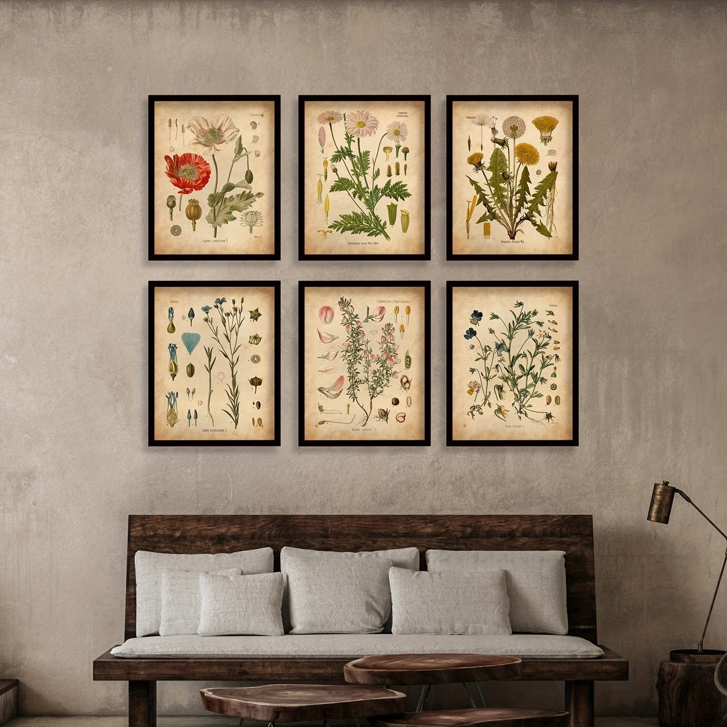 6 Stück Botanische Wandkunst Poster, Vintage Botanische Drucke, Vintage Poster, Drucke Wildblumen Drucke Florale Wandkunst, Für Wohnkultur / Wohnzimmer / Schlafzimmer / Büro / Hotel / Bar Dekoration, Ohne Rahmen