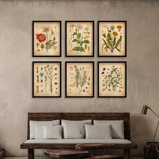 6 Stück Botanische Wandkunst Poster, Vintage Botanische Drucke, Vintage Poster, Drucke Wildblumen Drucke Florale Wandkunst, Für Wohnkultur / Wohnzimmer / Schlafzimmer / Büro / Hotel / Bar Dekoration, Ohne Rahmen