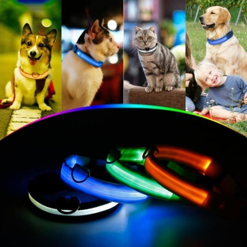 Haustier Halsband LED Licht Hundehalsband Nacht Sicherheit Anti-Verlust Auto Unfall Vermeidung Blitz Haustier Halskette Schwarzes Halsband Katze Und Hund Leuchtend