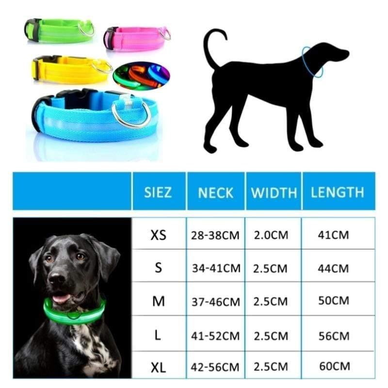 Haustier Halsband LED Licht Hundehalsband Nacht Sicherheit Anti-Verlust Auto Unfall Vermeidung Blitz Haustier Halskette Schwarzes Halsband Katze Und Hund Leuchtend