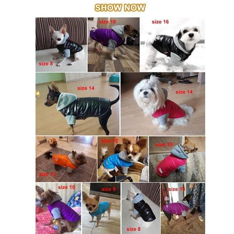 5 Farben Winter Haustier Hundejacke Mantel Verdickung Warme Welpe Hundekleidung Mit Kapuze Größe 8-18