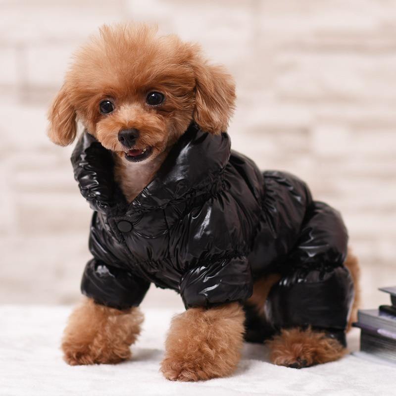 Hunde Kleidung Winter Französische Bulldogge Hunde Kleidung Für Kleine Hunde Baumwolle Gepolstert Warmes Outfit Mantel Jacke Für Chihuahua Haustier Kleidung