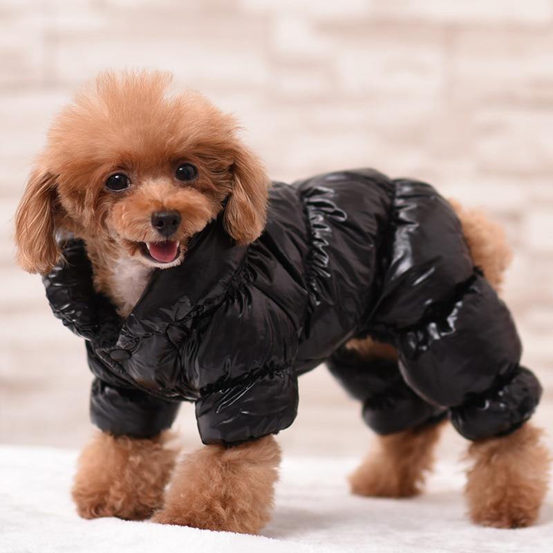 Hunde Kleidung Winter Französische Bulldogge Hunde Kleidung Für Kleine Hunde Baumwolle Gepolstert Warmes Outfit Mantel Jacke Für Chihuahua Haustier Kleidung