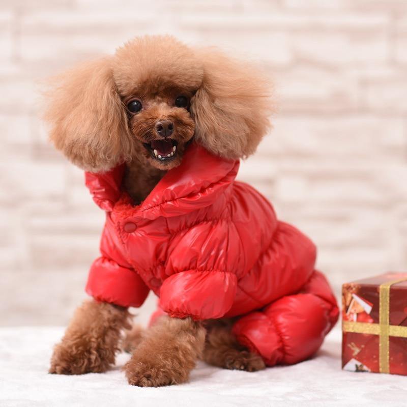 Hunde Kleidung Winter Französische Bulldogge Hunde Kleidung Für Kleine Hunde Baumwolle Gepolstert Warmes Outfit Mantel Jacke Für Chihuahua Haustier Kleidung