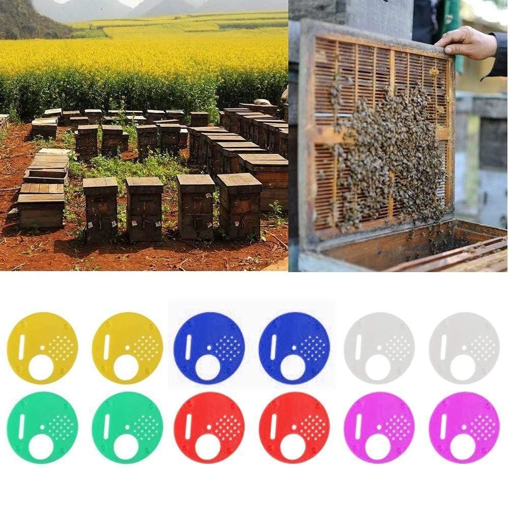 12PCs Runde Bienenstock Box Eingangstor Disk Kunststoff Bienen Nest Tür Waben Eingangstor Imker Werkzeug Ausstattung