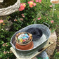 Solarbrunnen Bewässerungsset Patios Landschaft Schwimmende Wasserpumpe Outdoor Garten Swimmingpool Teich Wasserfall Dekoration Brunnen (16cm)