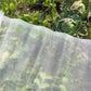 Anti-Vogel-Fänger-Netz Teichnetz Angelnetz Fallen Pflanzen Obstbaum Gemüse Blumen Garten Netz Schutz Schädlingsbekämpfung