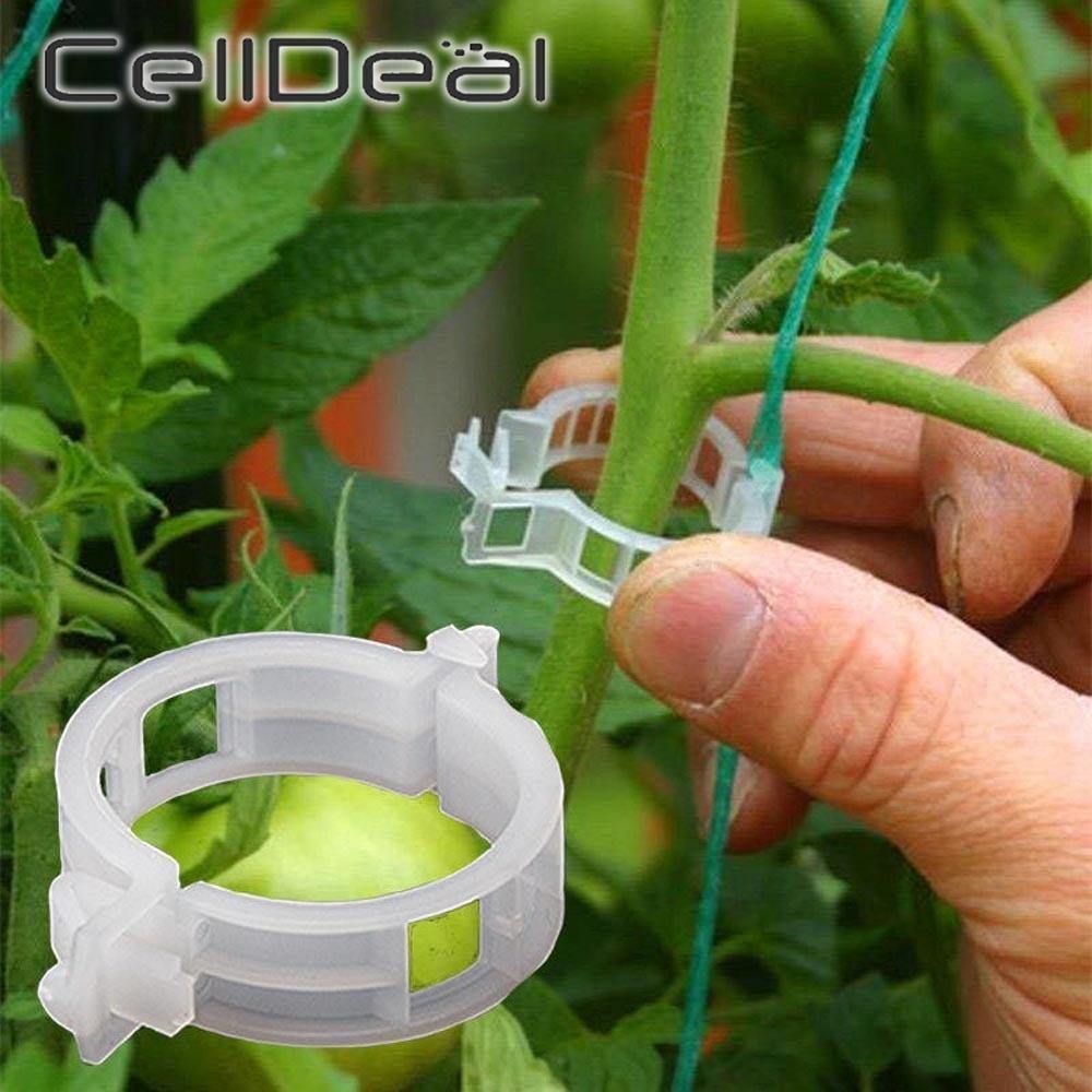 50/100 Stück Plastik Pflanzenklammern Unterstützung Verbindung Wiederverwendbare Schutz Veredelung Fixierung Werkzeug Gartenbedarf Für Gemüse Tomate